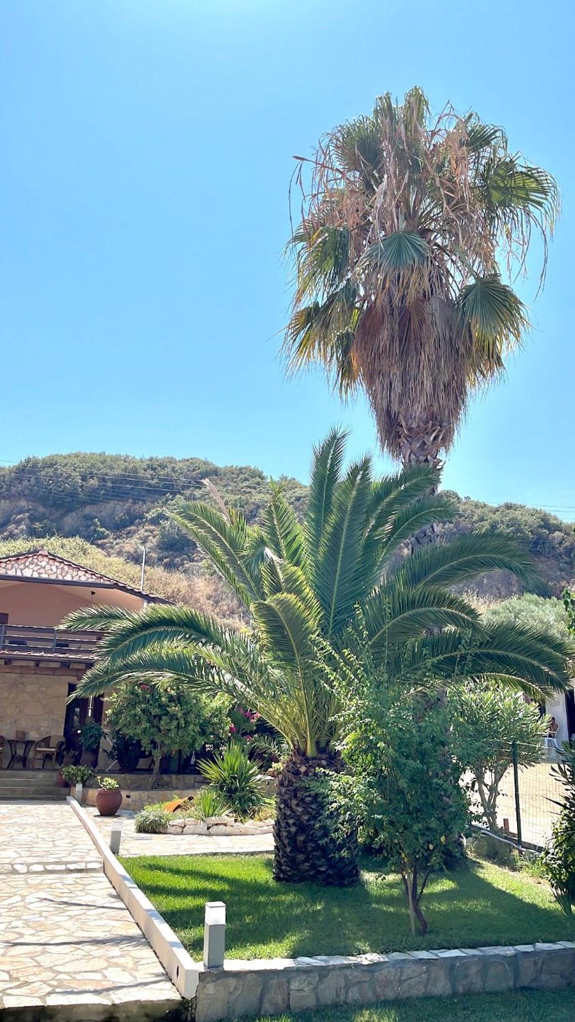 Palma Beach House Sarti Buitenkant foto
