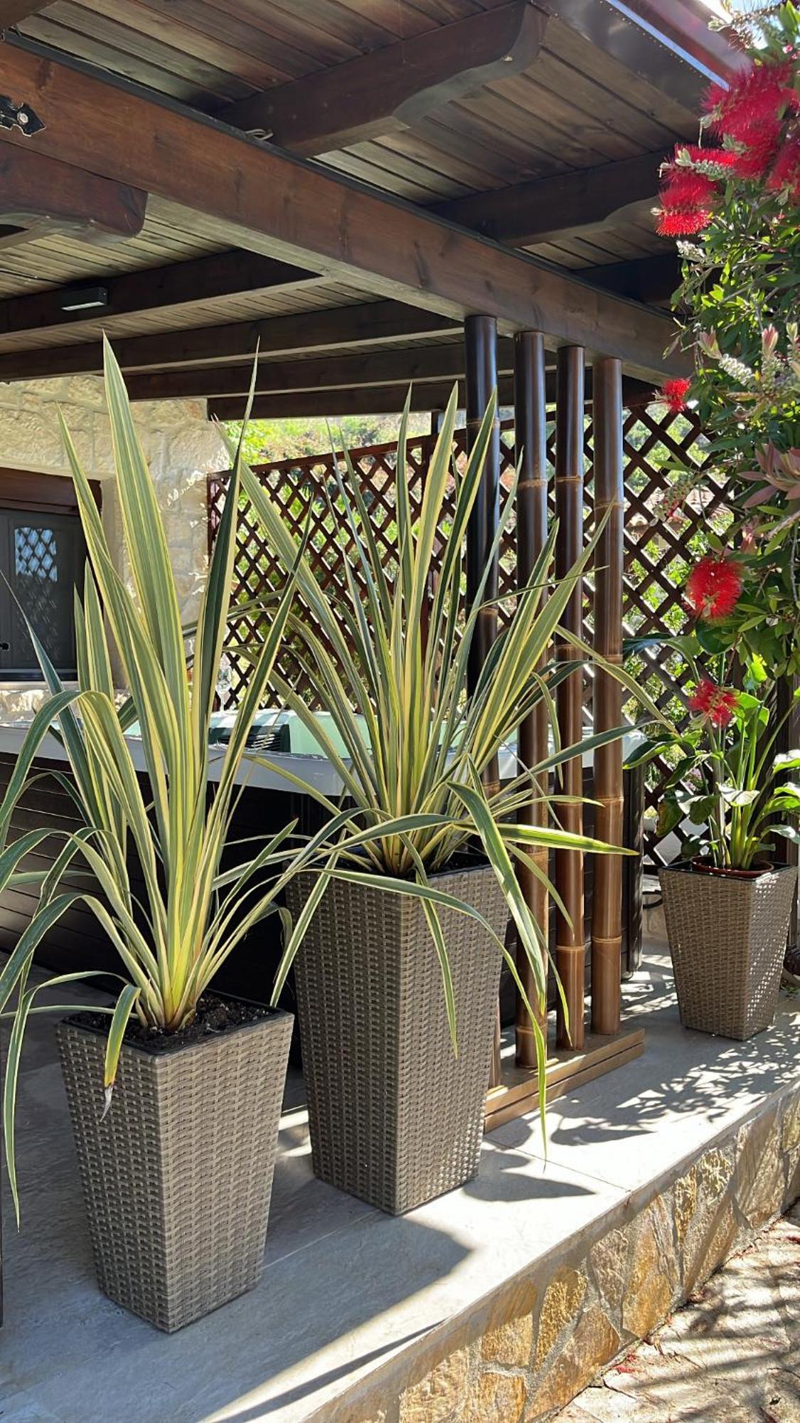 Palma Beach House Sarti Buitenkant foto